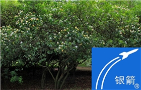 章丘金屬顏料鋁銀漿廠區(qū)風(fēng)采01.jpg 章丘金屬顏料鋁銀漿廠區(qū)風(fēng)采01.jpg