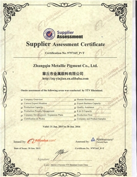 銀箭鋁銀漿廠家獲得TUV認(rèn)證證書(shū) 銀箭鋁銀漿廠家獲得TUV認(rèn)證證書(shū)